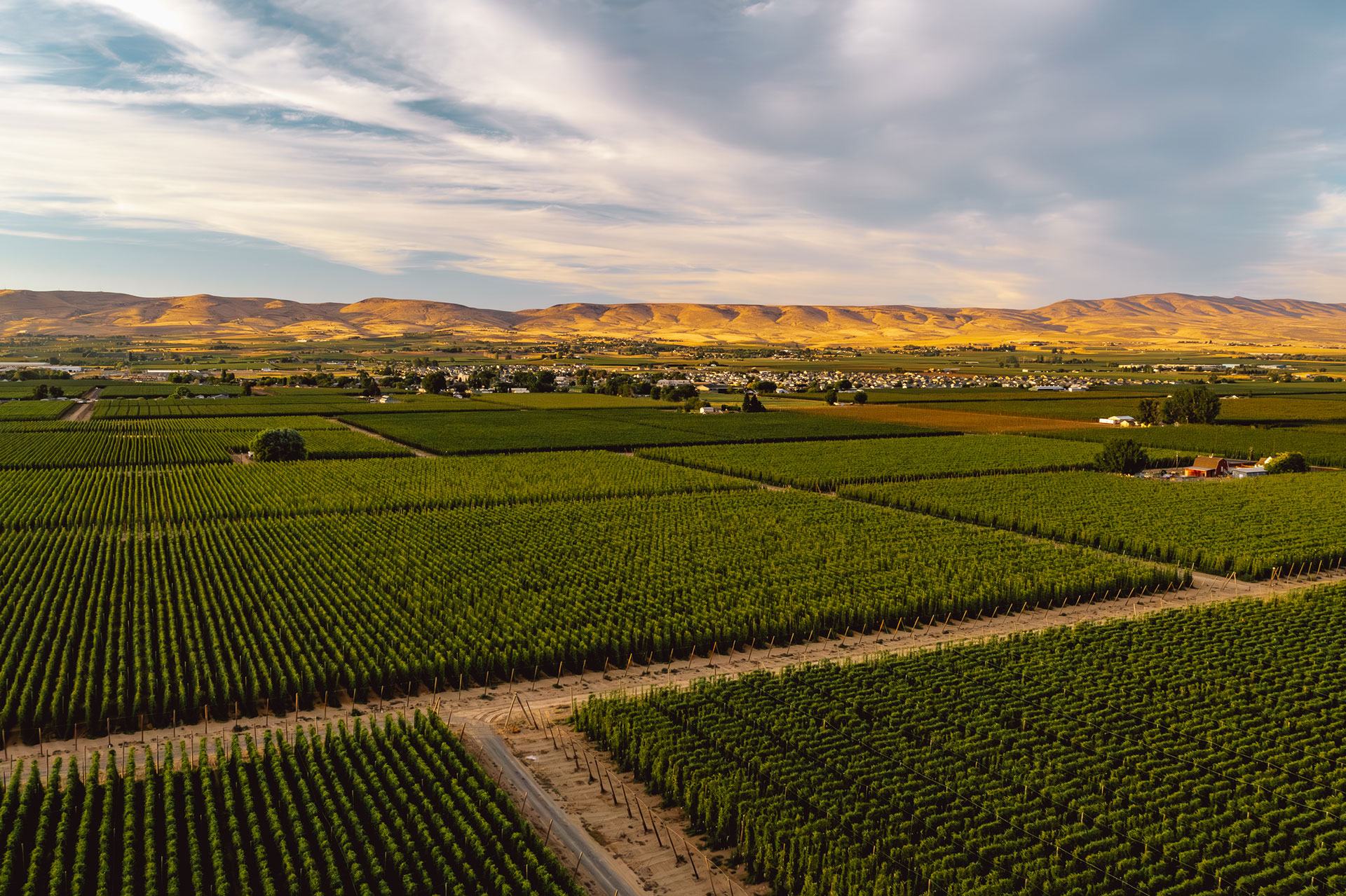 Aerial view of Yakima Valley Vineyards Washington